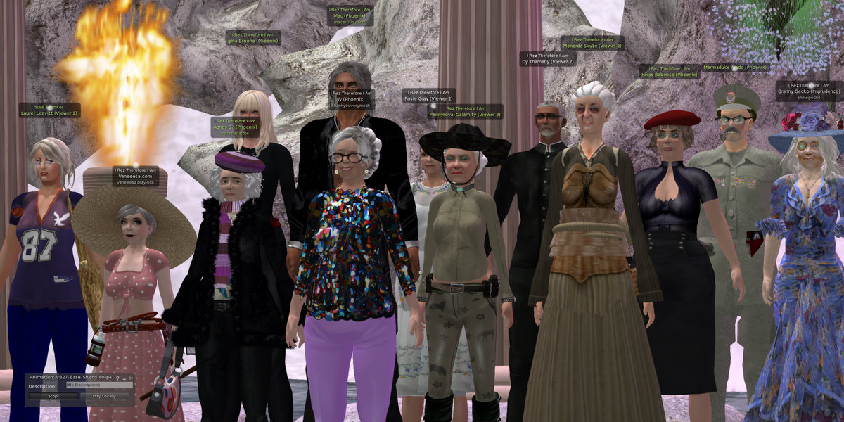 VB28 – The Seniors Project