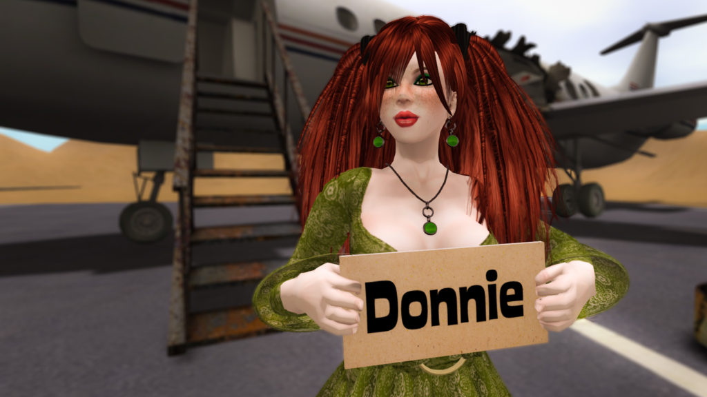 Meg Morningstar with big red hair and a flowing green dress holds a sign that reads "Donnie" and waits by a plane at Second Life Airport (SLX)