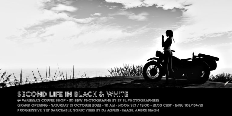 VB 272 Second Life in Black + White