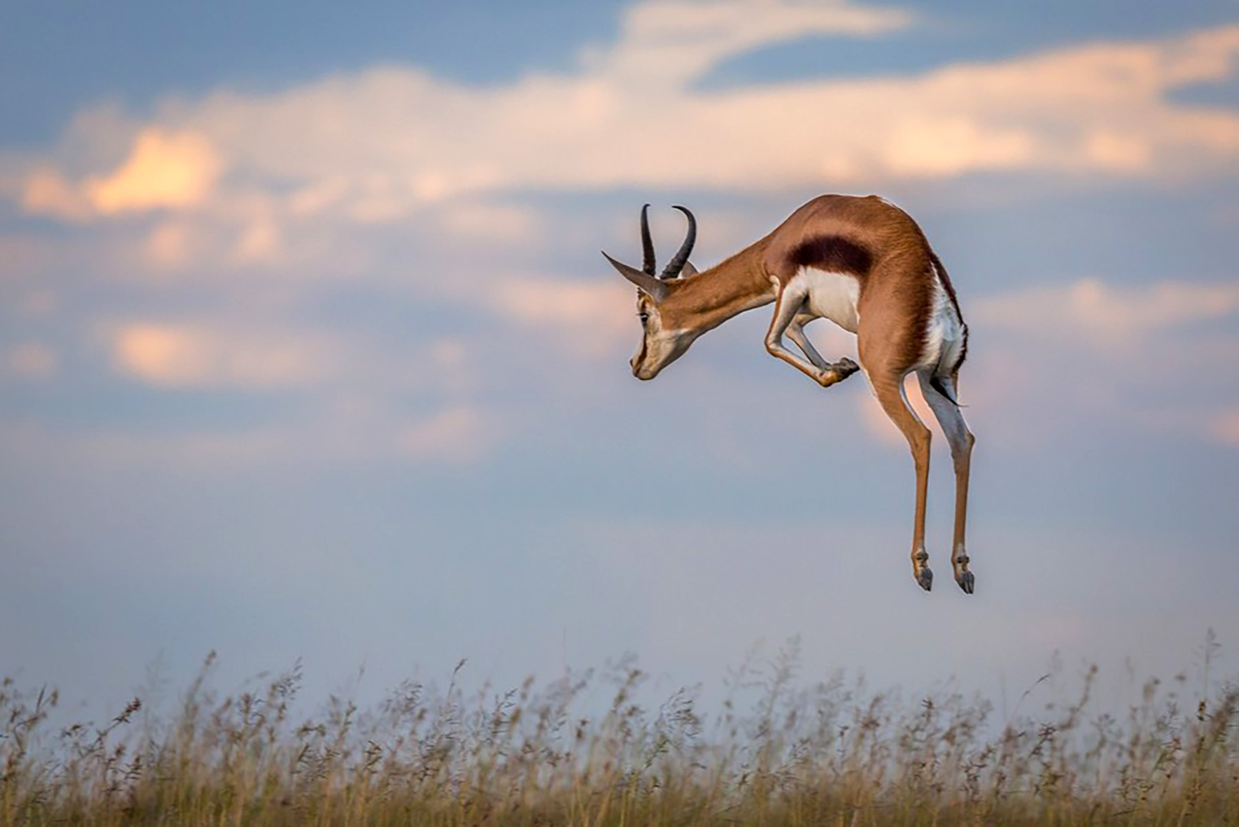 Gaming the Rank Controller