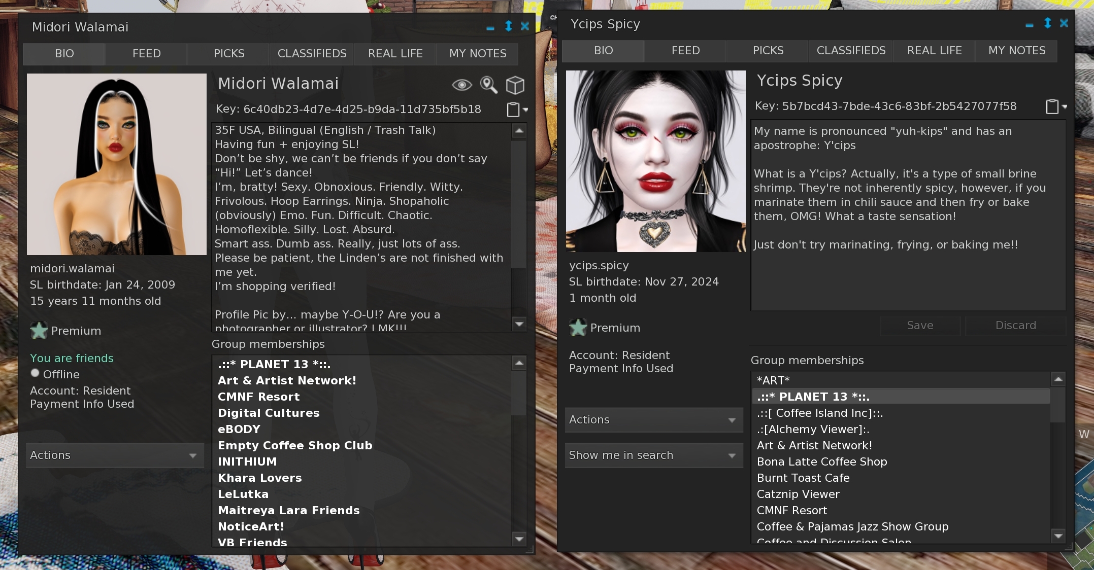 SL Profiles in different Viewers